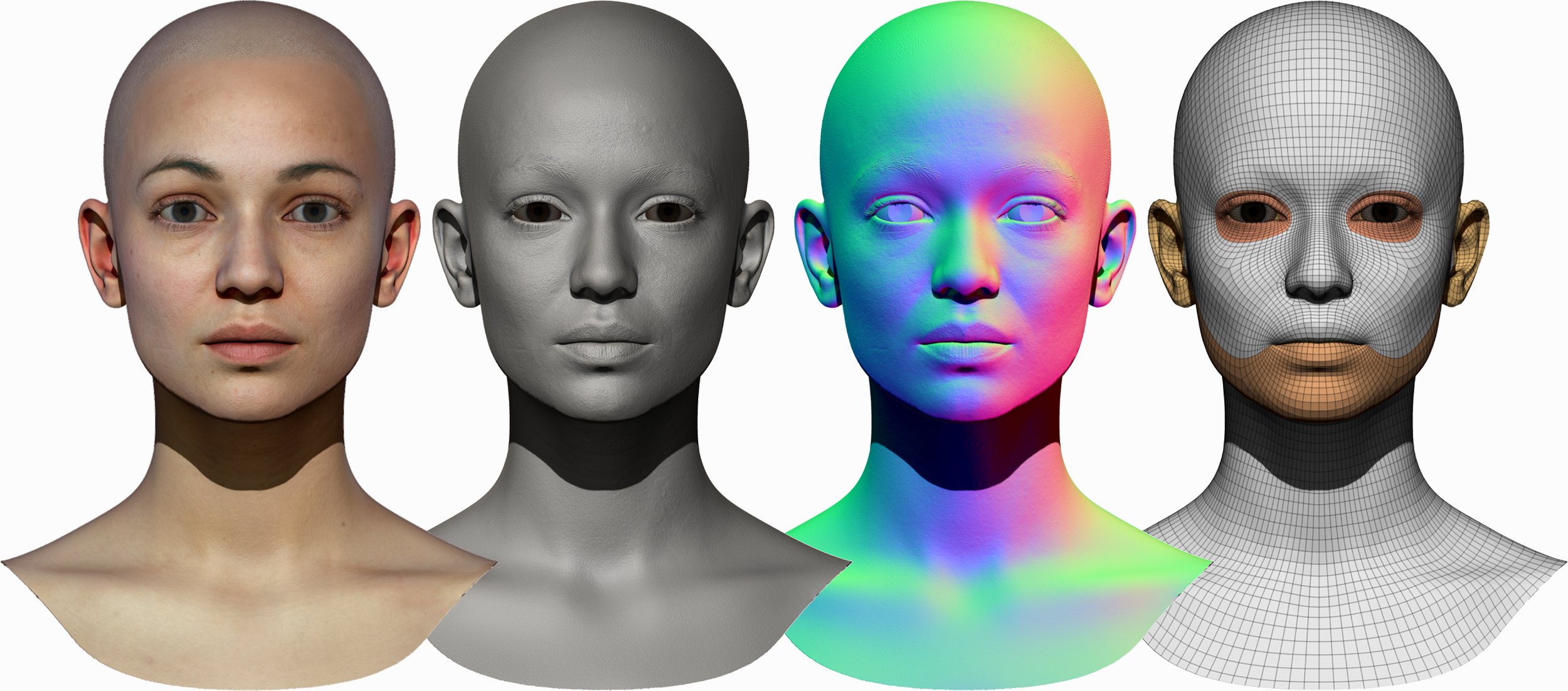 female heads 3d scan